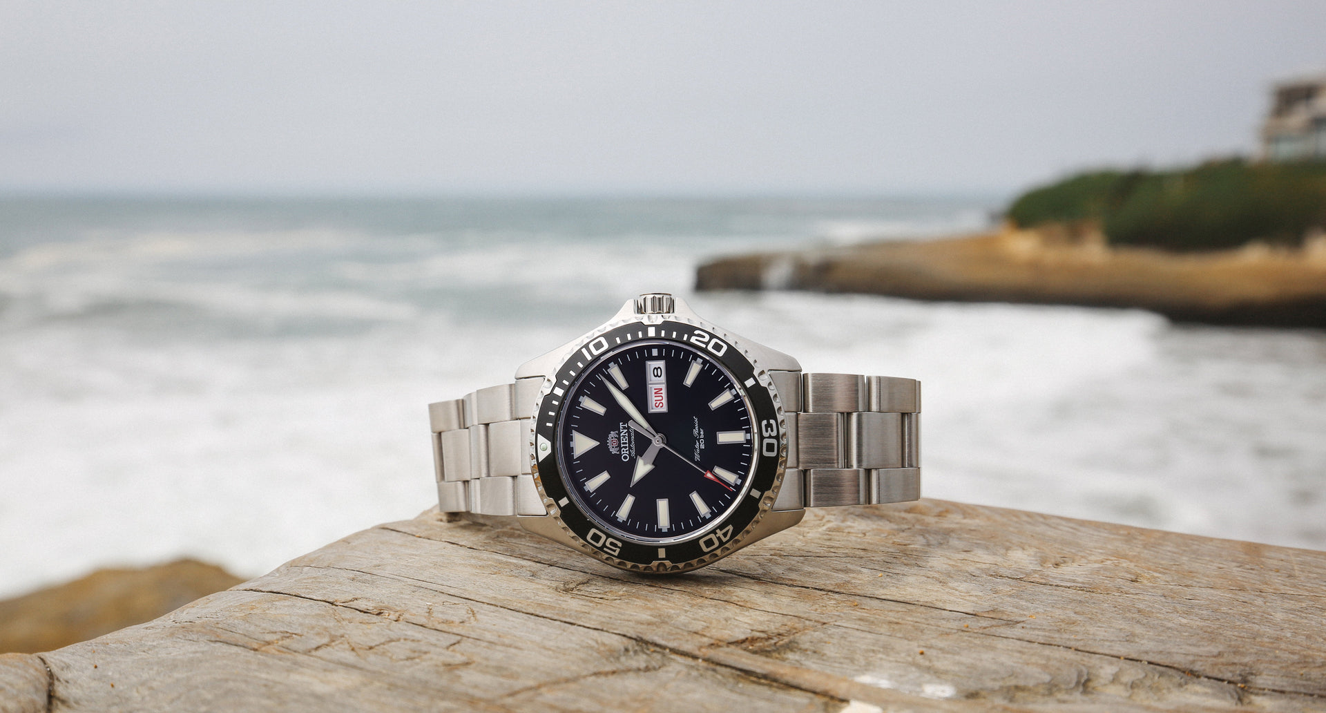 Diver - Orient Watch USA