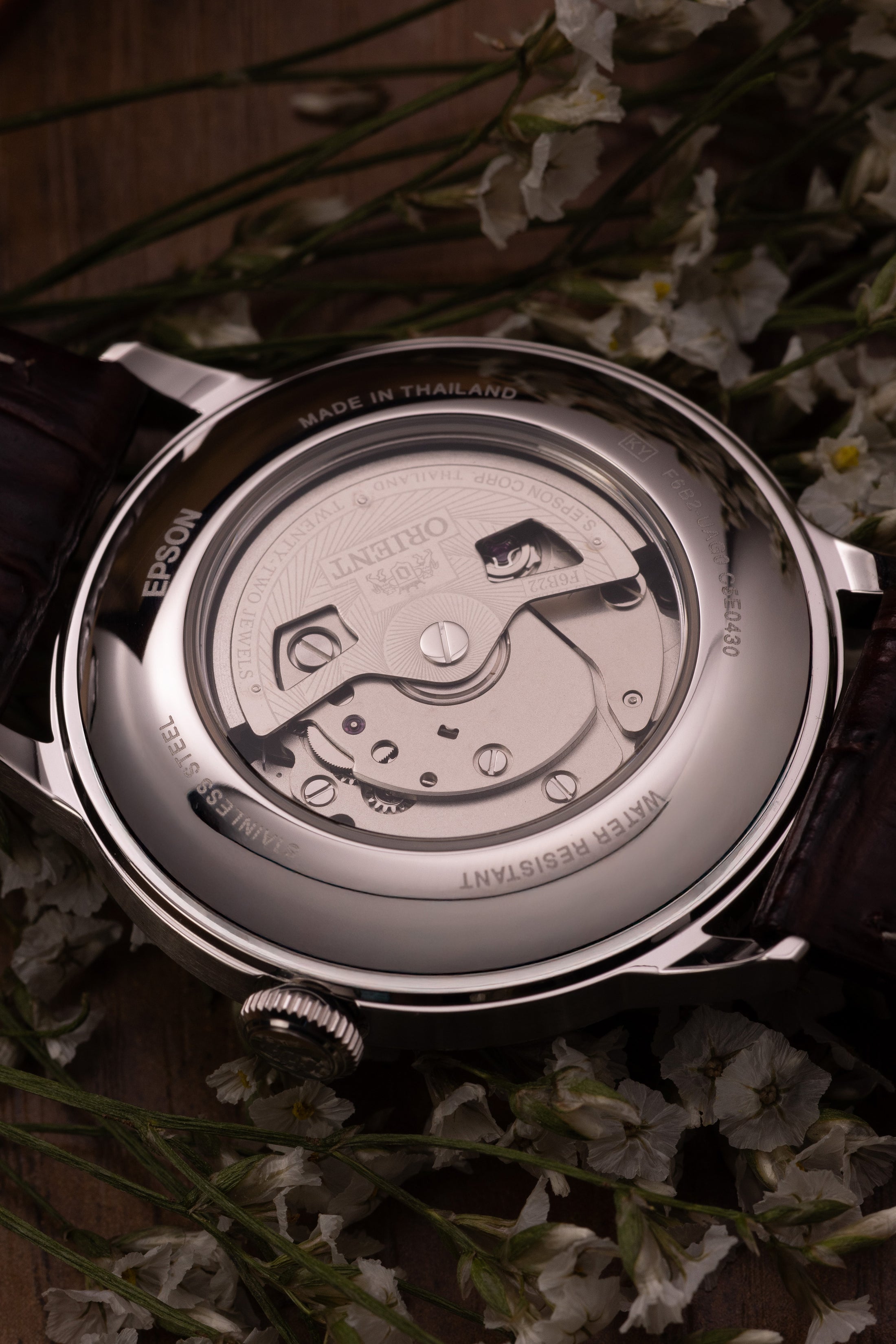 Orient Bambino Version 8