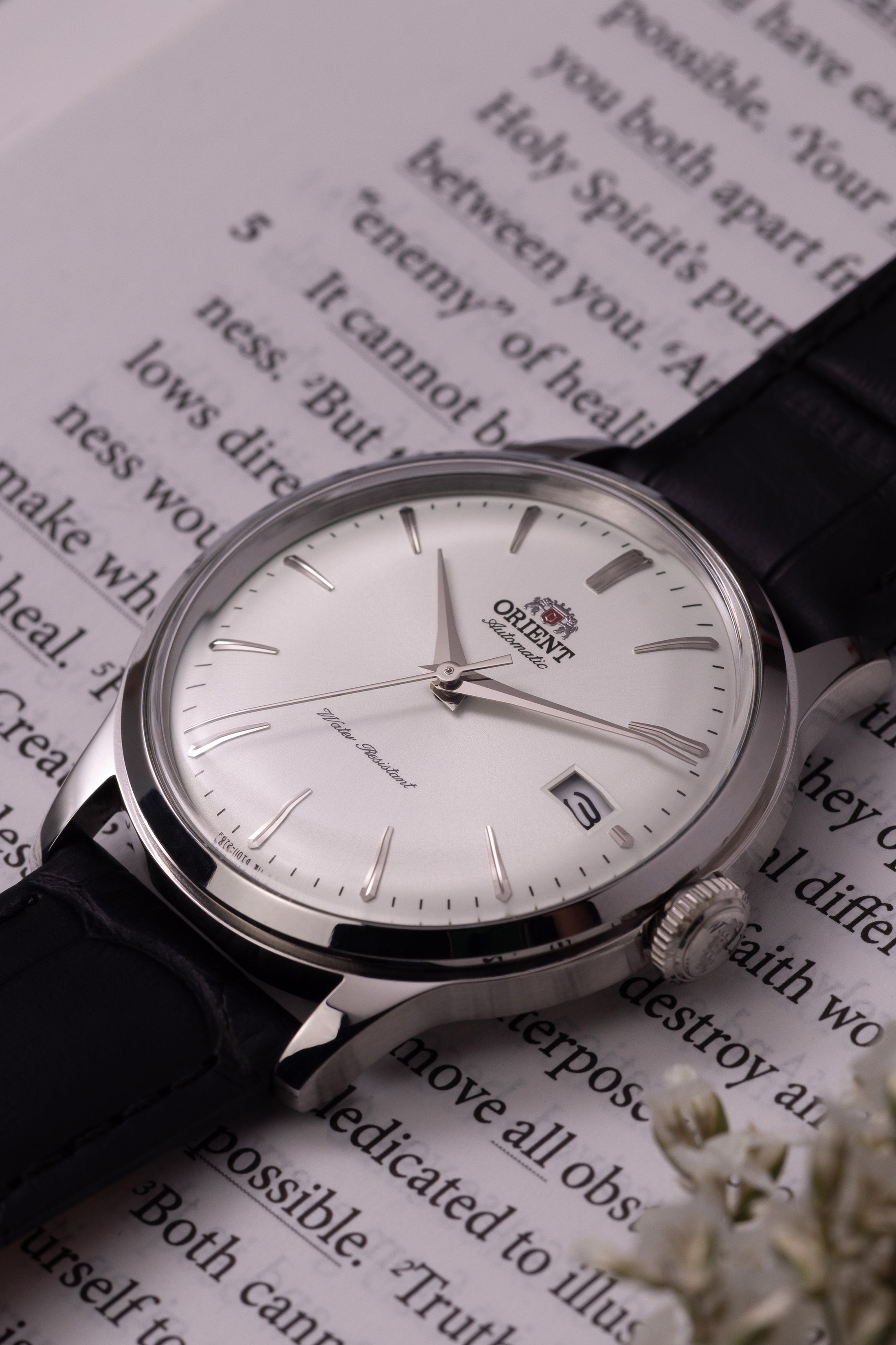 Orient Bambino Version 7 (38.4mm)