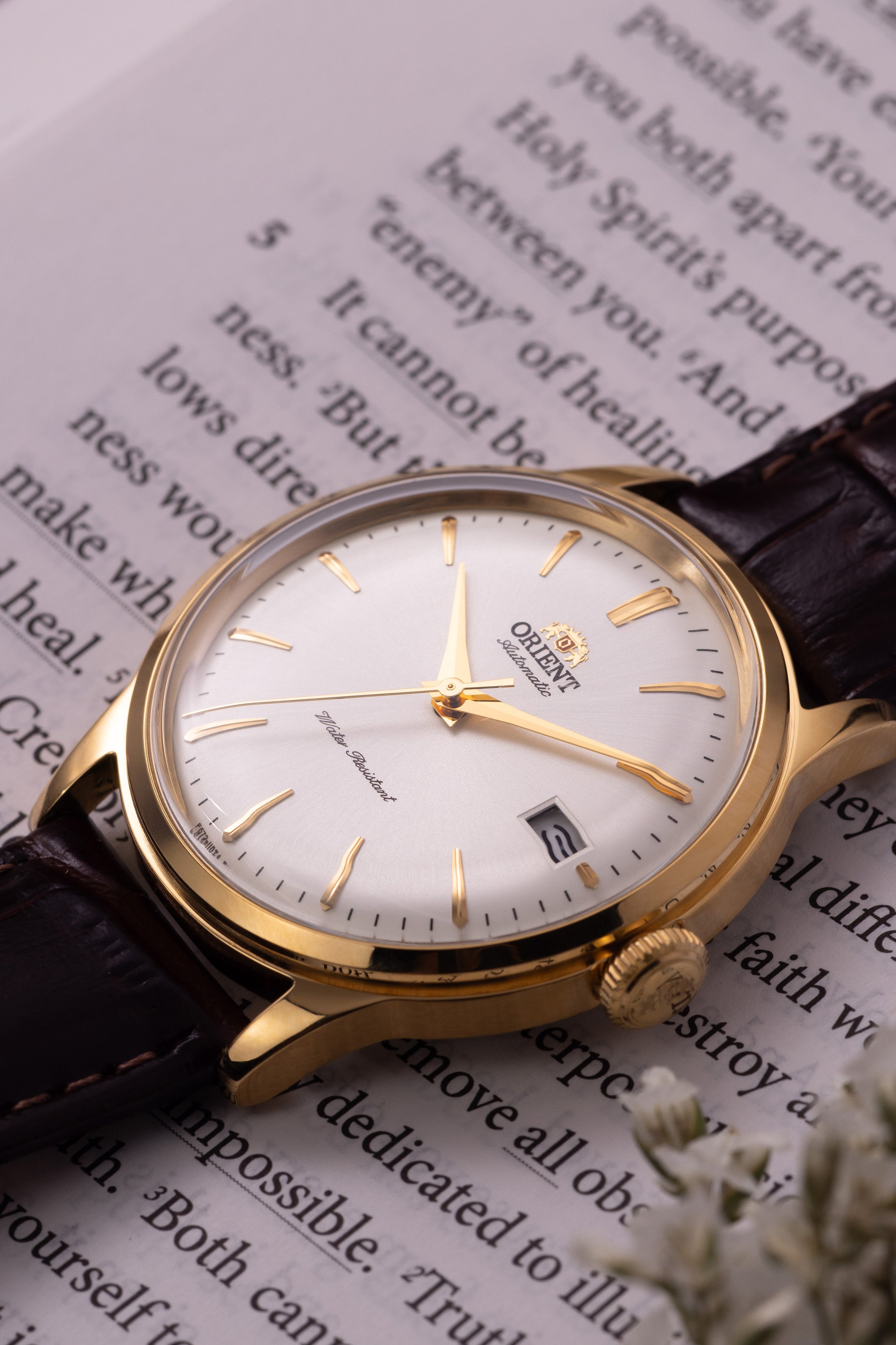 Orient Bambino Version 7 (38.4mm)