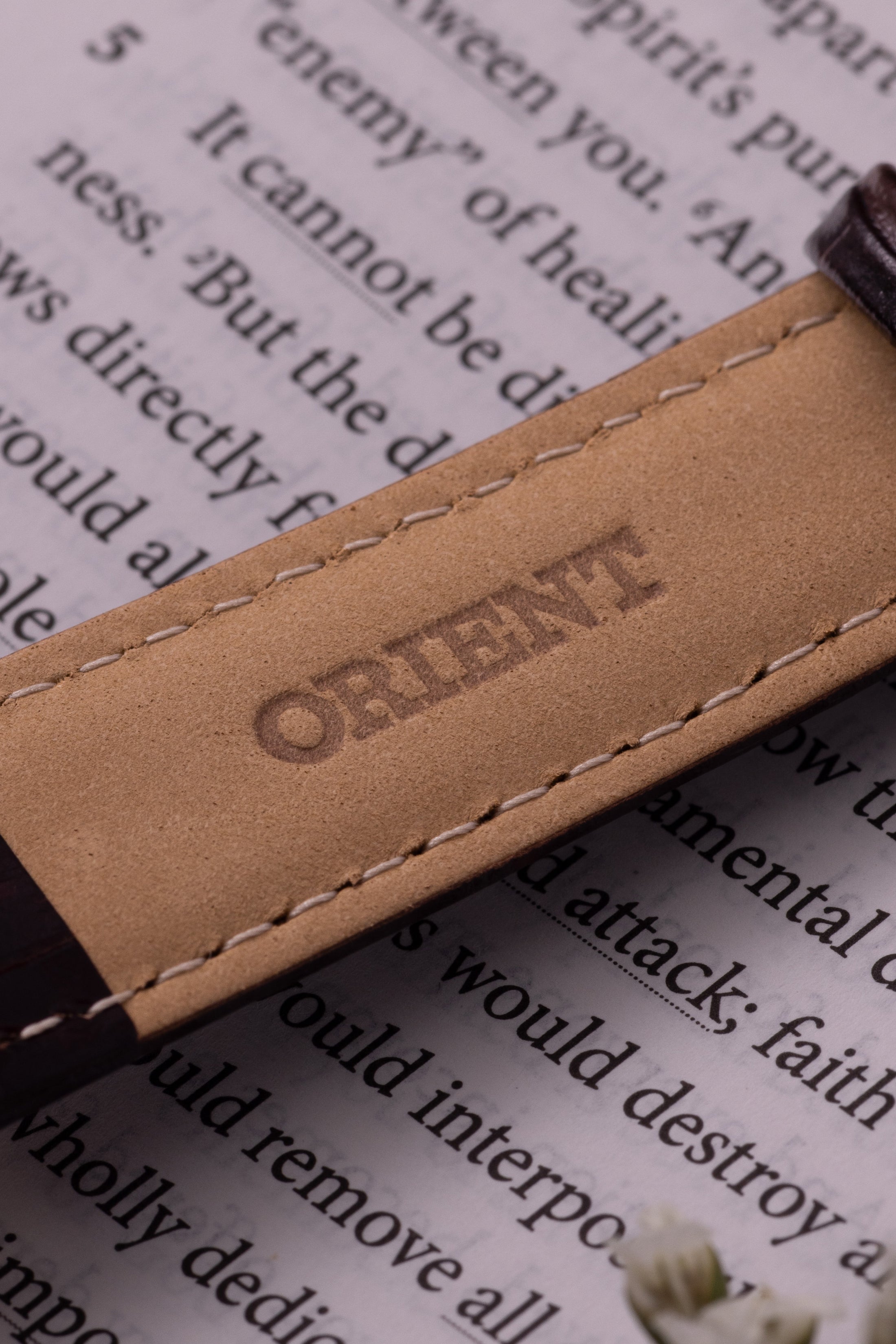 Orient Bambino Version 7 (38.4mm)