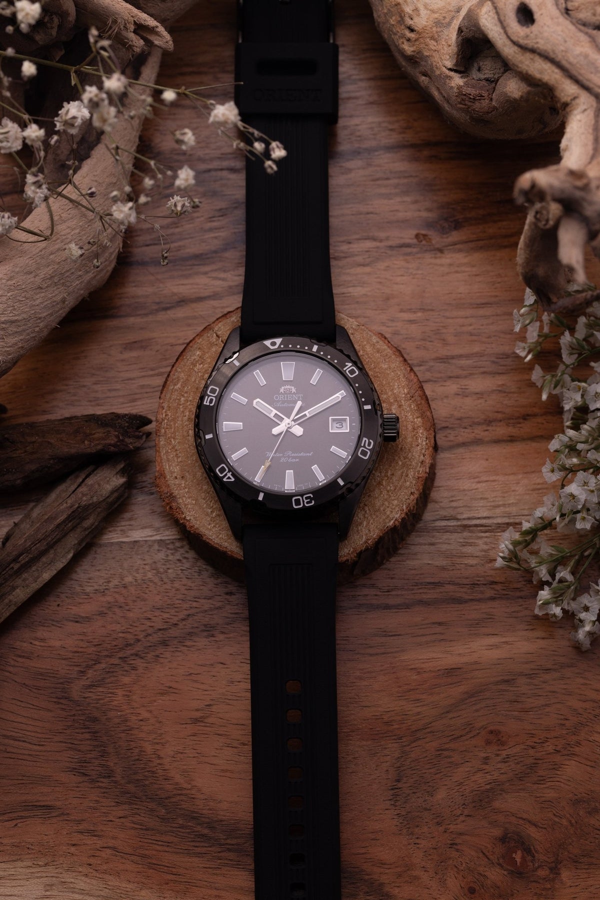 AC0Q Diver - Orient Watch USA