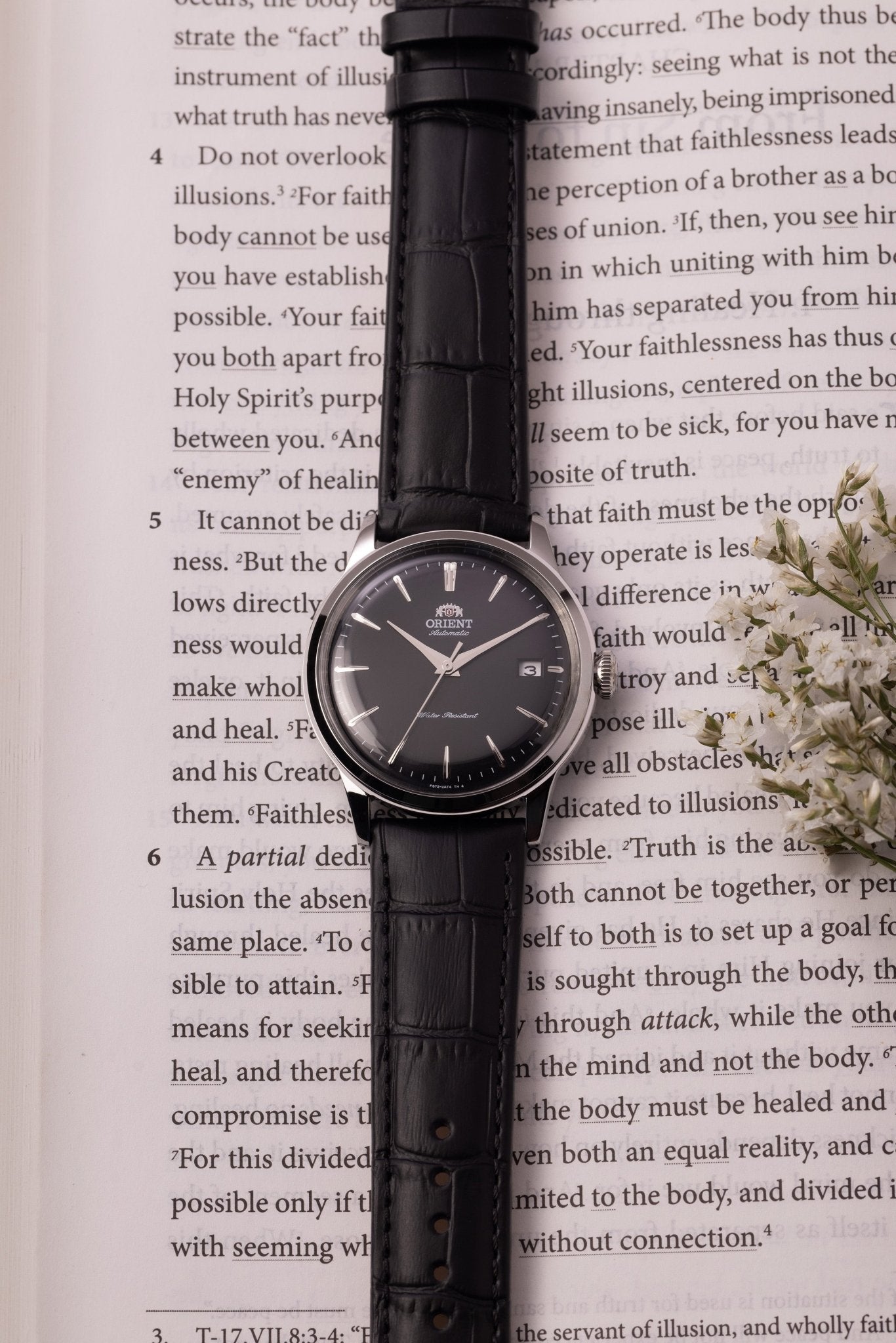 Orient Bambino Version 7 (38.4mm) - Orient Watch USA