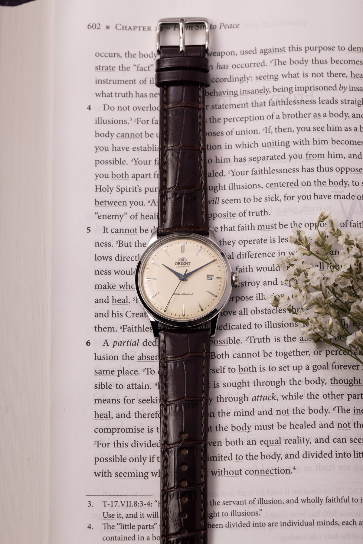 Orient Bambino Version 7 (38.4mm) - Orient Watch USA