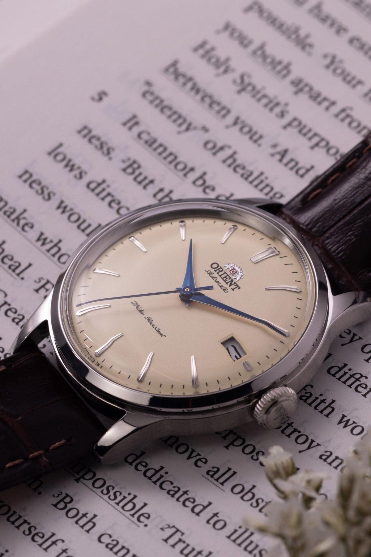 Orient Bambino Version 7 (38.4mm) - Orient Watch USA