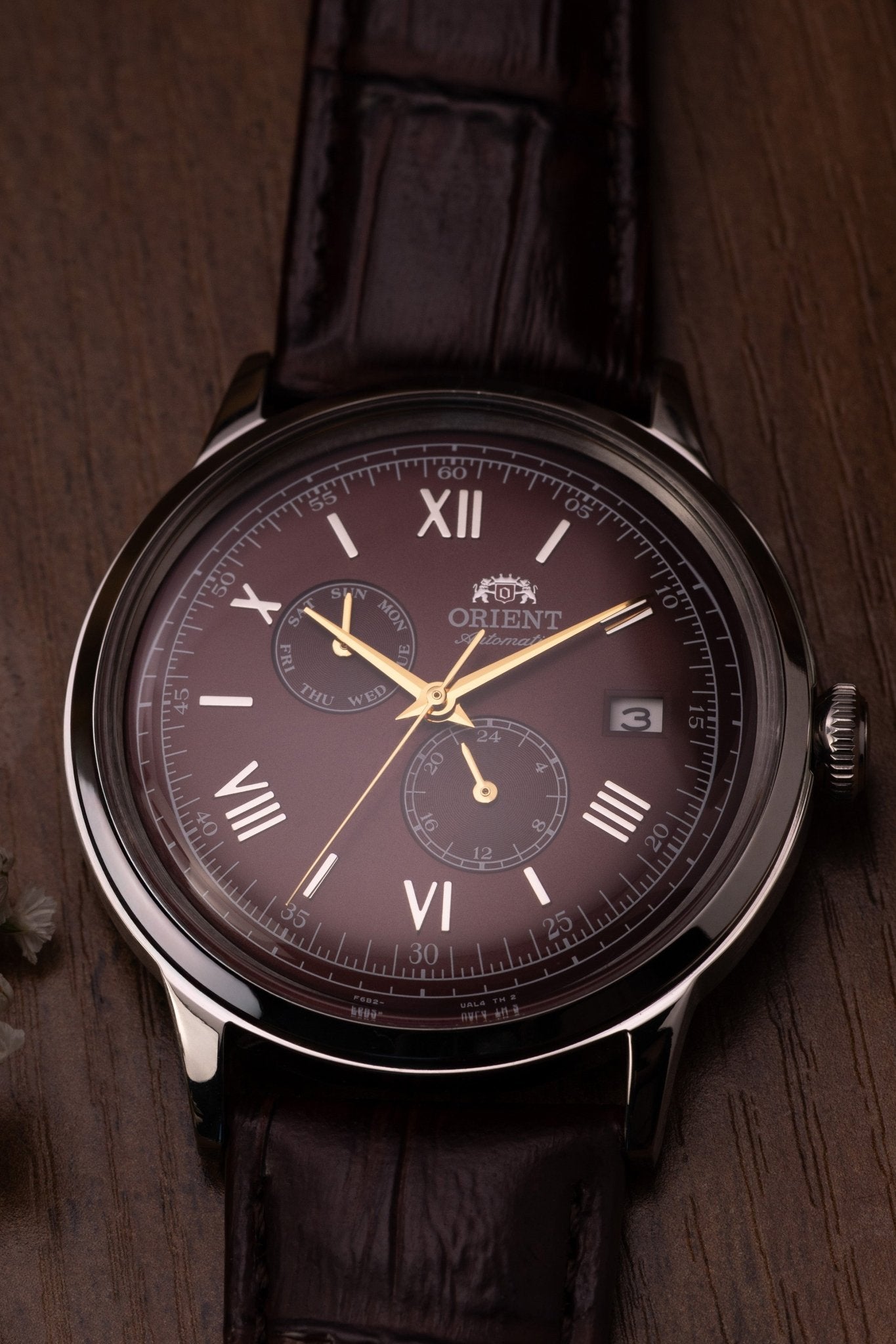 Orient Bambino Version 8 - Orient Watch USA