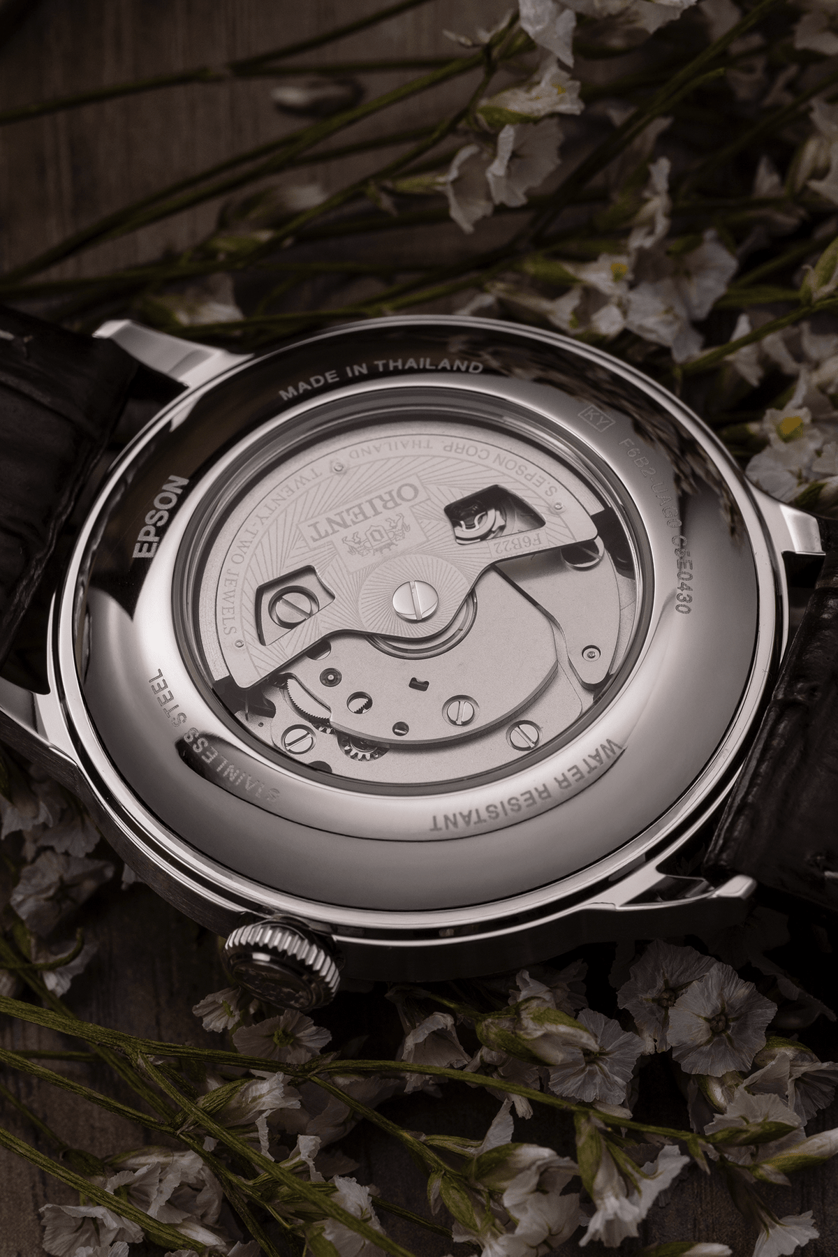 Orient Bambino Version 8 - Orient Watch USA