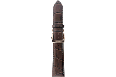 RA-AK00 Strap (22 MM)