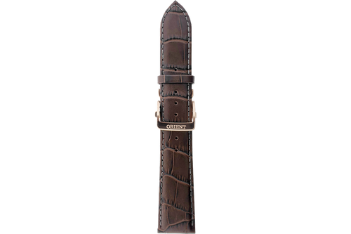 RA-AK00 Strap (22 MM)