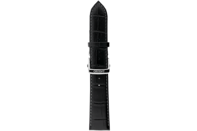 RA-AK00 Strap (22 MM)