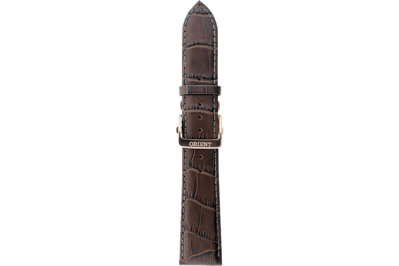 RA-AK00 Strap (22 MM)